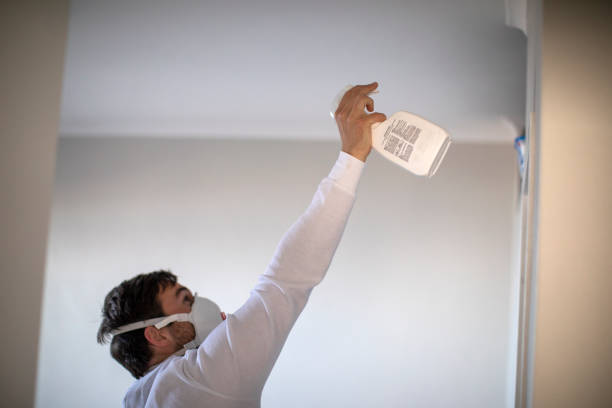 Best Home Mold Removal  in North Boston, NY