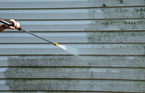 Best Attic Mold Removal  in North Boston, NY