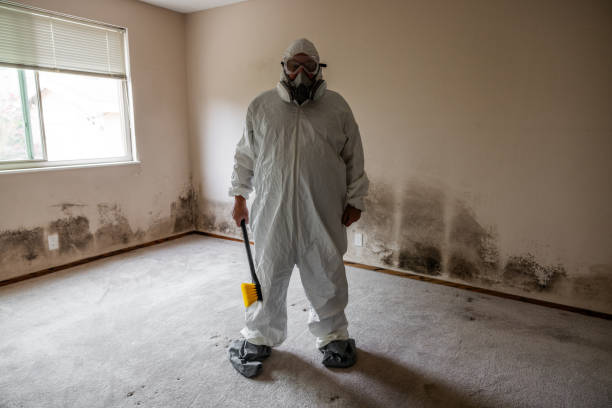 Best Mold Remediation  in North Boston, NY